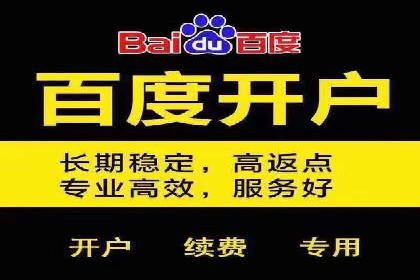 充值高返点策略：成功案例分析与解读